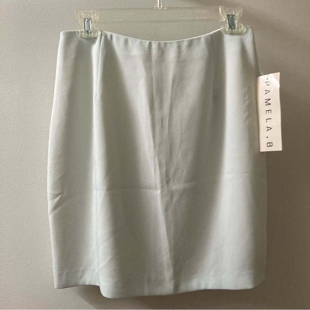 NWT Light Mint Classic Skirt